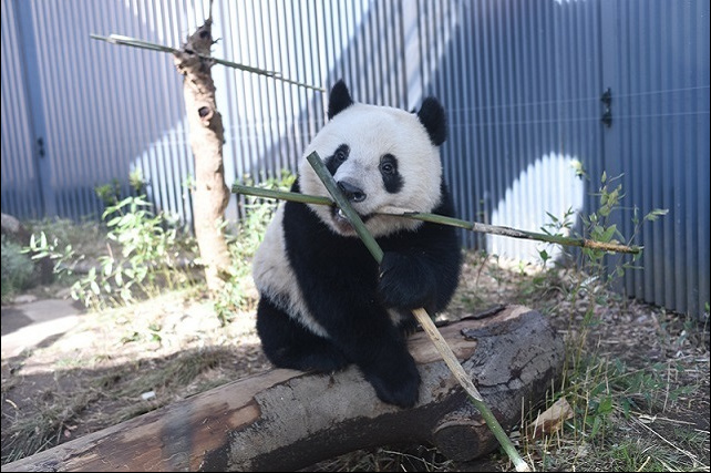 上野動物園